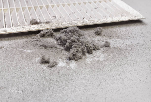Best Air Duct Cleaning Near Me in Sutherlin, OR
