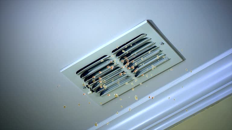 Best Professional Duct Cleaning Services  in Sutherlin, OR